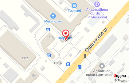 Магазин воздушных шаров и товаров для праздника Большой Праздник в Новосибирске на карте