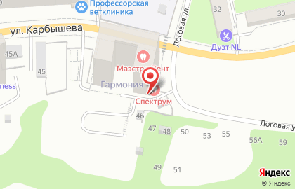 Компания Масштаб на карте