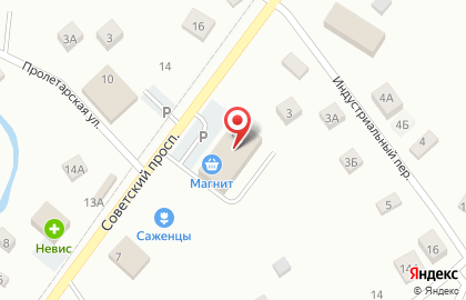 Продуктовый магазин на Советском проспекте (Тосненский район), 13 на карте