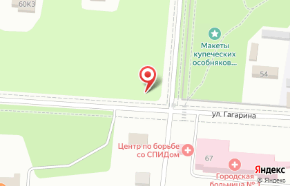 Бережная аптека, ГК Фармаимпекс на улице Гагарина на карте
