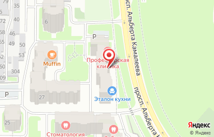 Смелые панды на карте