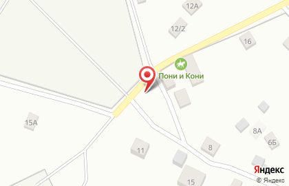 ПОНИ и КОНИ на карте