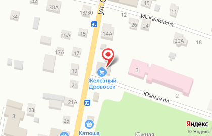 Магазин Железный Дровосек на карте