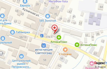 Магазин хозяйственных товаров и бытовой химии Копейкин дом на Комсомольской на карте