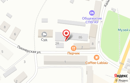 Магазин мясной продукции Балтптицепром на Пионерской улице на карте