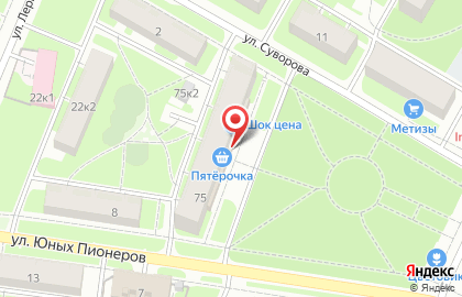 Автоматизированный пункт выдачи товаров PickPoint в Калининском районе на карте