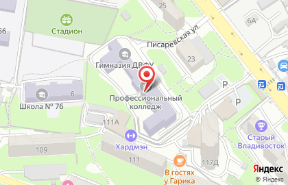 Гимназия, ДВФУ на карте