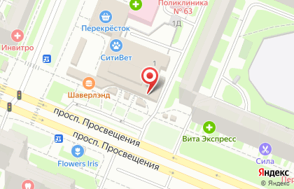 Цветочный магазин Цветокторг на проспекте Просвещения на карте