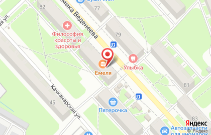 Пирожковая Емеля на улице Академика Веденеева на карте