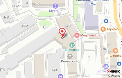 Бегемот на Московском проспекте на карте