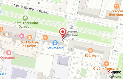 Туристическое агентство Олимп на Свято-Троицком бульваре на карте