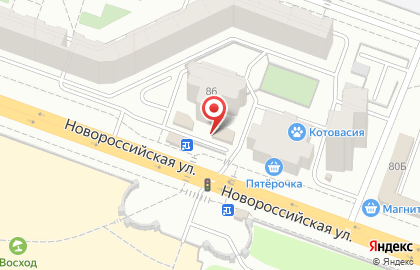 Зоомаркет на улице Новороссийская на карте