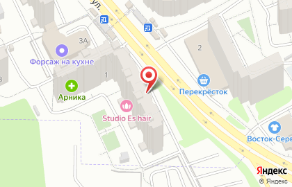 Мозаика Феникс на карте