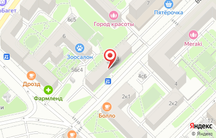 Bestcvet на карте