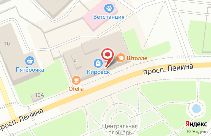 Магазин игрушек Играйка на проспекте Ленина на карте