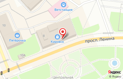 Сервисный центр Экспресс-Сервис на проспекте Ленина на карте