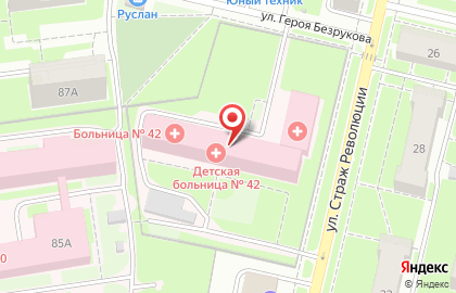 Детская городская больница №42 на улице Страж Революции на карте