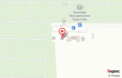 Магазин искусственных цветов Цветы30 на Весенней улице на карте