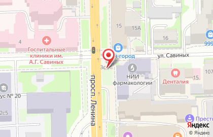 Русские Блины на проспекте Ленина на карте