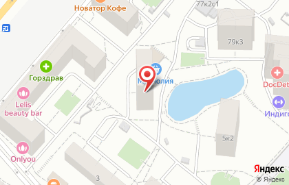 Удобный магазин Магнолия на Ленинском проспекте, 79 к 2 на карте
