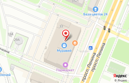 Мастерская ЧасовщикNN на проспекте Ленина на карте