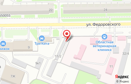 Шиномонтажная мастерская на улице Федоровского на карте