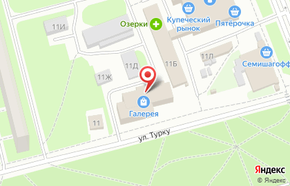 Авоська на Будапештской улице на карте