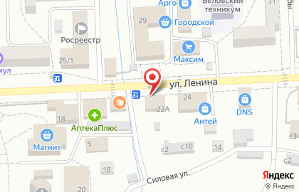 Система аптек Эдельвейс на улице Ленина на карте