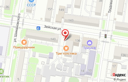 Магазин музыкальных инструментов Музыкальный визит на карте