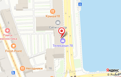 Компания Альянс на Петроградской набережной на карте