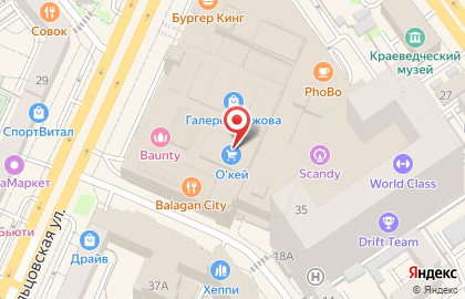 Салон обуви Zenden в ТЦ ​Галерея Чижова на карте
