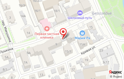 Транс-Сельхозтехника на улице Пушкина на карте