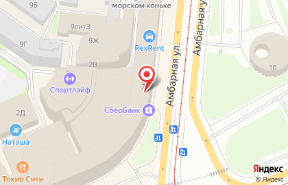 Банкомат СберБанк на площади Александра Невского, 2 на карте