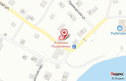 Стоматологическая клиника Пушилиных на Приморской улице на карте