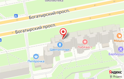 Магазин цветов Цветоптторг на Богатырском проспекте на карте