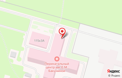 Областной клинический перинатальный центр им. Е.М. Бакуниной на карте