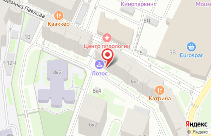 Химчистка-прачечная Лотос на улице Академика Павлова на карте