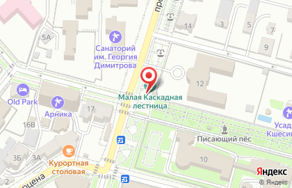 Продовольственный магазин Роза на проспекте Ленина на карте