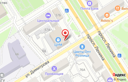 Супермаркет цифровой техники и бытовой электроники ДНС на проспекте Ленина, 55 на карте