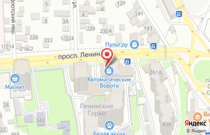 Единый визовый центр на проспекте Ленина на карте