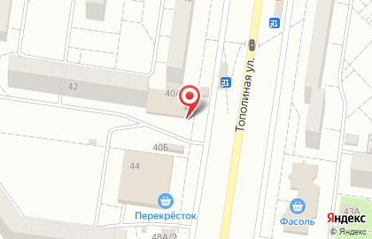 Магазин зоотоваров ХВОСТиК в Автозаводском районе на карте