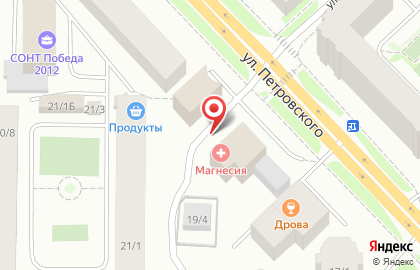 Камнедел на улице Петровского на карте