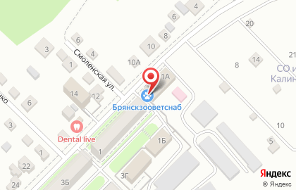Аптека Брянскзооветснаб на улице Осоавиахима на карте