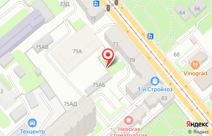 Долина на проспекте Обуховской Обороны на карте