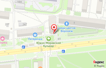 Торговый дом Глобус на Южно-Моравской улице на карте
