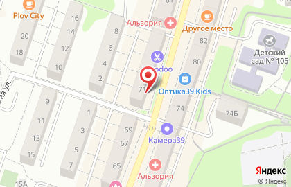 Пальма в Калининграде на карте