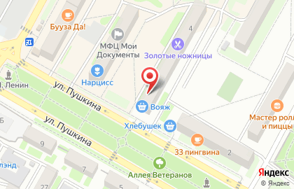 Продуктовый магазин Вояж на улице Пушкина на карте