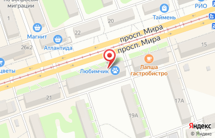 Магазин Красное & белое в Оренбурге на карте