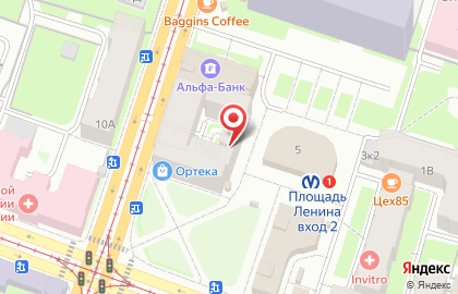 Цветочный салон Оранж на метро Площадь Ленина на карте