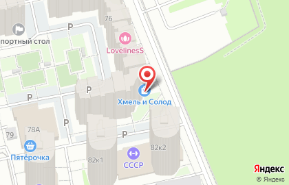 Магазин Дом суши и пиццы на проспекте Ленина на карте